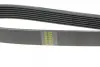 Ремінь генератора Land Rover/Toyota Land Cruiser 120 4.0i/4.6 94- HUTCHINSON 2120K7 (фото 3)
