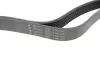 Ремінь генератора Kia Sorento 2.5 CRDI 06-/Land Rover Discovery/Range Rover 88-04 HUTCHINSON 2257K7 (фото 2)