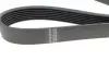 Ремінь генератора Kia Sorento 2.5 CRDI 06-/Land Rover Discovery/Range Rover 88-04 HUTCHINSON 2257K7 (фото 3)