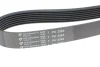 Ремінь генератора Honda Accord 2.2 i-CDTi 04-08 (7PK2264) HUTCHINSON 2264K7 (фото 3)