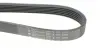 Ремінь генератора MB W124/W164 (6PK2360) HUTCHINSON 2360K6 (фото 4)