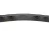 Ремінь генератора MB E-class (W124/S124) M104 93-96 (6PK2412) HUTCHINSON 2412K6 (фото 2)