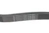 Ремінь генератора MB E-class (W124/S124) M104 93-96 (6PK2412) HUTCHINSON 2412K6 (фото 4)