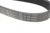 Ремінь генератора Jeep Cherokee 2.8 CRD 08- (6PK2430) HUTCHINSON 2430 K 6 (фото 4)