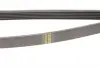 Ремінь генератора MB W211 55 AMG 02-08 (6PK2442) HUTCHINSON 2442K6 (фото 3)