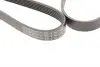 Ремінь генератора MB W211 55 AMG 02-08 (6PK2442) HUTCHINSON 2442K6 (фото 4)