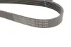 Ремінь генератора Audi A4/A6/A8/Q7 2.7/3.0TDI 04- (6PK2485) HUTCHINSON 2485K6 (фото 5)