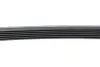 Ремінь генератора Audi A6 4.2 98-05/A8 3.7/4.2 98-02 (6PK2648) HUTCHINSON 2648K6 (фото 4)