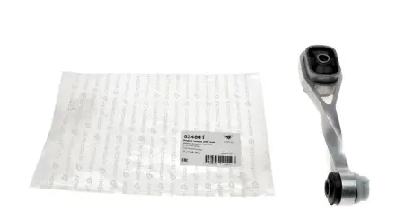 Опора ДВС задня Renault Megane I,Clio II Simbol Hutchinson HUTCHINSON 524841