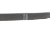 Ремінь генератора Fiat Croma 2.4D 05- (5PK595) HUTCHINSON 595SK5 (фото 3)