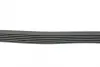 Ремінь генератора VW Caddy 1.4 04-06 HUTCHINSON 740K6 (фото 2)