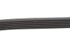 Ремінь генератора Citroen C4/Peugeot 307 1.6HDi 04- (6PK780) HUTCHINSON 780K6 (фото 4)