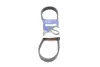 Ремінь генератора Fiat Punto/Stilo 1.9 JTD 99-06 (6PK813) HUTCHINSON 813K6 (фото 1)