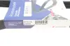 Ремінь генератора Fiat Punto/Stilo 1.9 JTD 99-06 (6PK813) HUTCHINSON 813K6 (фото 6)
