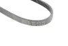 Ремінь генератора BMW 5 (E60) 2.5/3.0D 04-10 (M57) (4PK830) HUTCHINSON 830SK4 (фото 4)