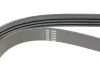Ремінь генератора BMW X5 (E70)/X6 (E71/E72) 07-13 HUTCHINSON 867SK4 (фото 3)