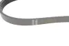 Ремінь генератора Ford Focus 1.4/1.6 Ti 03- (5PK868) HUTCHINSON 868SK5 (фото 2)