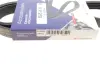 Ремінь генератора Ford Focus 2.5 ST 05-12/Mitsubishi Lancer 1.5/1.6 08- (5PK895) HUTCHINSON 895K5 (фото 6)