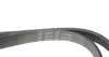 Ремінь генератора Fiat Scudo 2.0 JTD 99-06 (5PK968) HUTCHINSON 968K5 (фото 4)