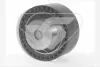 Ролик приводного ременя Cirtoen Jumper, Peugeot Boxer 02-06 Hutchinson HUTCHINSON HEG313