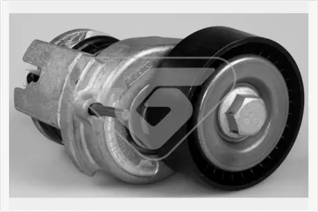 Натяжной ролик, поликлиновой ремень HUTCHINSON T0259