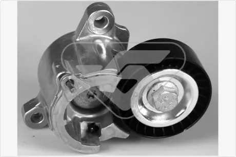 Натяжной ролик, поликлиновой ремень HUTCHINSON T0296