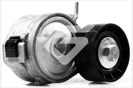 Натяжной ролик, поликлиновой ремень HUTCHINSON T0450