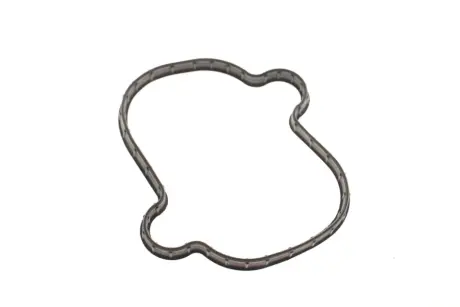 Прокладка насосу паливного Hyundai Santa Fe/Sonata/Kia Sorento 09-16 HYUNDAI/KIA 224422G670