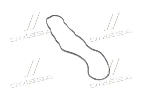 Прокладка клапанної кришки (HYUNDAI/KIA 2244541001