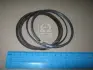 Кільця поршневі - STD - HYUNDAI/KIA 2304023400 (фото 1)