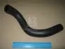Патрубок радіатора охолодження нижній HYUNDAI/KIA 254122F800 (фото 1)