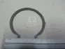 Кільце стопорне маточини передньої HYUNDAI/KIA 517182D020 (фото 1)