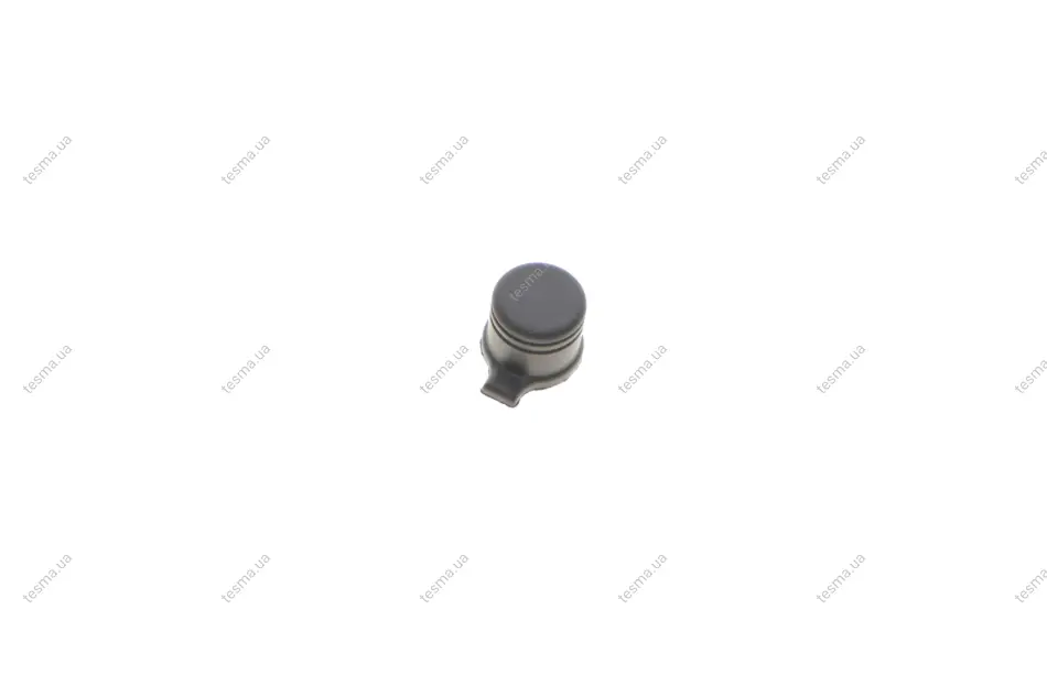 Заглушка (пильник) штуцера прокачування гальм Hyundai/Kia HYUNDAI/KIA 581213R000 (фото 1)