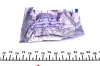 Підшипник маточини (передньої) Fiat Ducato/Peugeot Boxer 94-02 (1.4t)(50x80x20)(к-кт) IJS GROUP 10-1201 (фото 2)