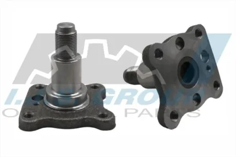 Маточина (задня) Ford Fiesta/Focus 98-08 IJS GROUP 102034