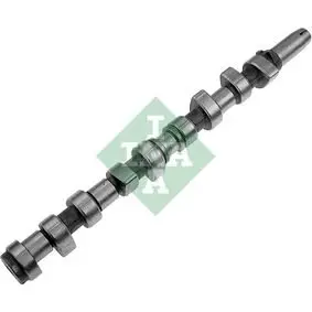 Camshaft. Распредвал INA 428004210