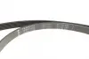 Комплект ременя генератора Ford Fiesta/Mazda 2 1.4D 01-12 (6PK 1705) INA 529001210 (фото 2)