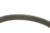 Комплект ременя генератора BMW 1 (E87/E88)/3 (E46/E90)/5 (E60) 1.6-2.0 01-10, N46B20, (6PK1870) INA 529 0044 10 (фото 3)