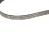 Комплект ременя генератора Ford Fiesta 1.3 01-08 (6PK2193) INA 529006710 (фото 2)