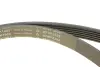 Комплект ременя генератора Opel Astra/Vectra 89-02 (6PK1903) INA 529009110 (фото 2)