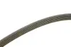 Комплект ременя генератора Opel Astra/Vectra 89-02 (6PK1903) INA 529009110 (фото 4)