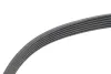 Комплект ременя генератора Opel Astra/Vectra 89-02 (6PK1725) INA 529009510 (фото 3)