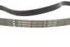 Комплект ременя генератора Audi A2/Seat Ibiza/Skoda Fabia/VW Golf/Polo 1.4/1.6/1.6FSI 97- (6PK 1078) INA 529010310 (фото 2)