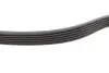 Комплект ременя генератора Audi A2/Seat Ibiza/Skoda Fabia/VW Golf/Polo 1.4/1.6/1.6FSI 97- (6PK 1078) INA 529010310 (фото 3)