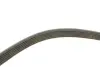 Комплект ременя генератора Citroen Jumpy/Peugeot Expert 2.0 HDi 09- (6PK1245) INA 529 0291 10 (фото 2)