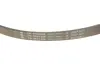 Комплект ременя генератора Citroen Jumpy/Peugeot Expert 2.0 HDi 09- (6PK1245) INA 529 0291 10 (фото 3)