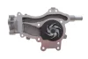 Комплект ременя генератора + помпа Opel Astra J/Corsa D 09-15 (5PK1335) INA 529029530 (фото 4)