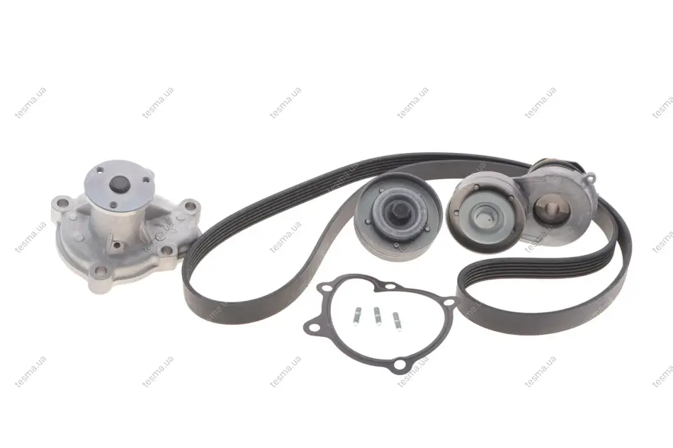 Комплект ременя генератора + помпа Opel Astra H/Zafira B 1.7D 07- (6PK1605) INA 529033030 (фото 1)