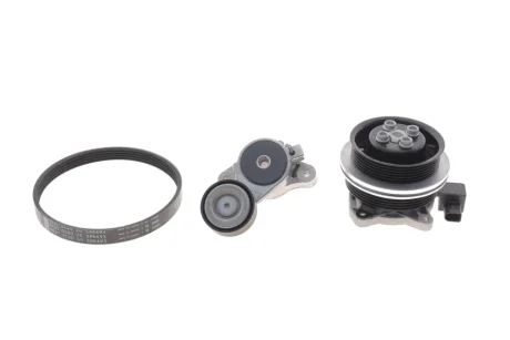 Комплект ременя генератора + помпа VW Golf/Passat/Touran 1.4 TSI 05-. (5PK493) INA 529034030