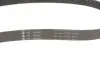 Комплект ременя генератора Skoda Roomster/Fabia 1.4TDi 03-10/VW Fox/Lupo/Polo 1.2/1.4TDI 99-09 INA 529 0378 10 (фото 4)